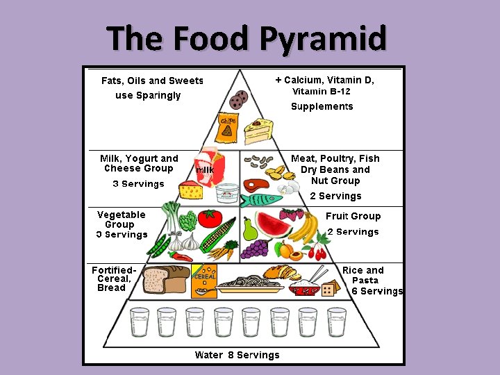 The Food Pyramid 