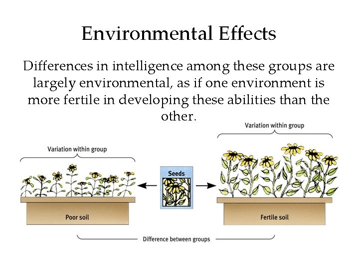 Environmental Effects Differences in intelligence among these groups are largely environmental, as if one