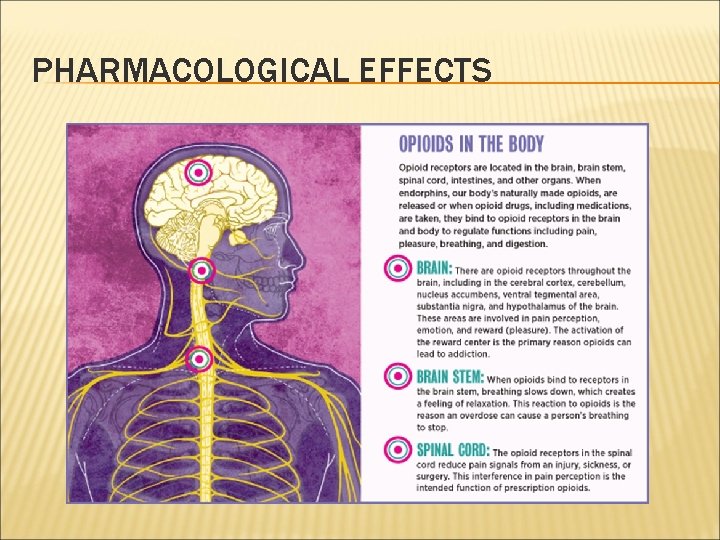 PHARMACOLOGICAL EFFECTS 