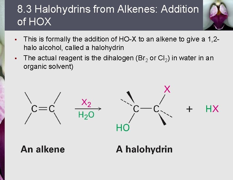 8. 3 Halohydrins from Alkenes: Addition of HOX § § This is formally the