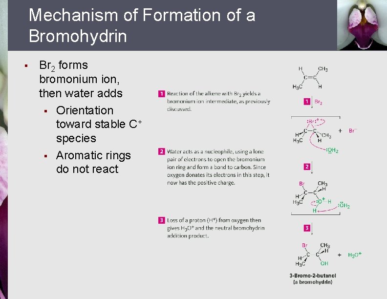 Mechanism of Formation of a Bromohydrin § Br 2 forms bromonium ion, then water