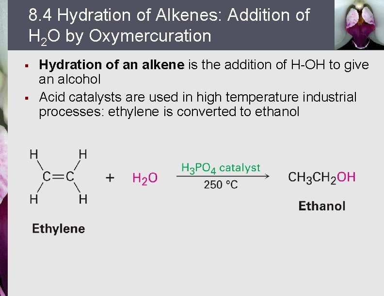 8. 4 Hydration of Alkenes: Addition of H 2 O by Oxymercuration § §