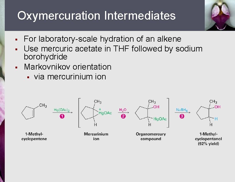 Oxymercuration Intermediates § § § For laboratory-scale hydration of an alkene Use mercuric acetate