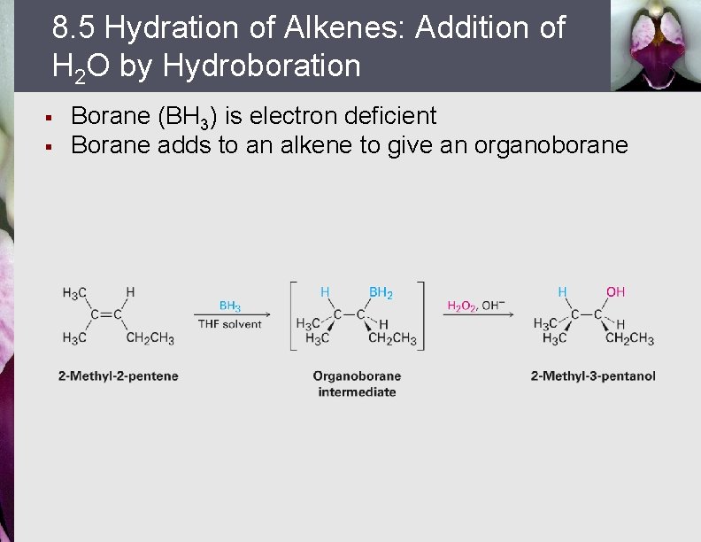 8. 5 Hydration of Alkenes: Addition of H 2 O by Hydroboration § §