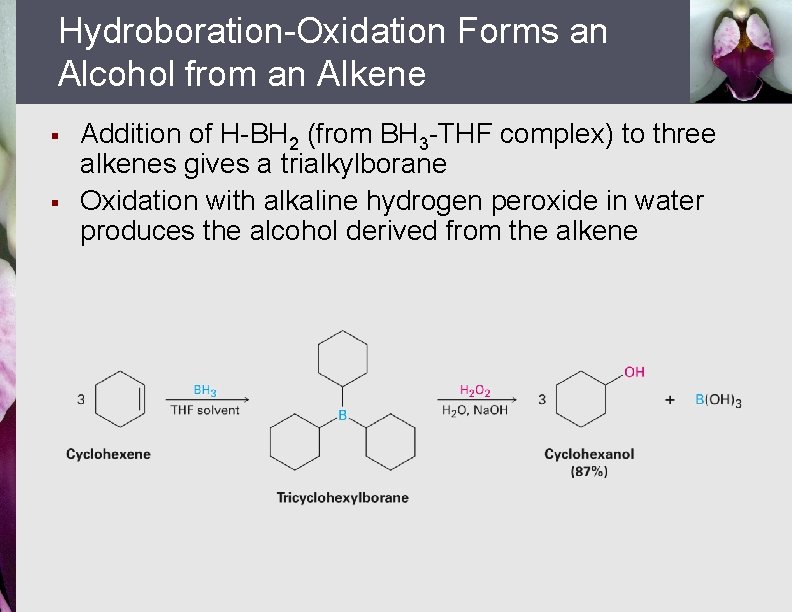 Hydroboration-Oxidation Forms an Alcohol from an Alkene § § Addition of H-BH 2 (from
