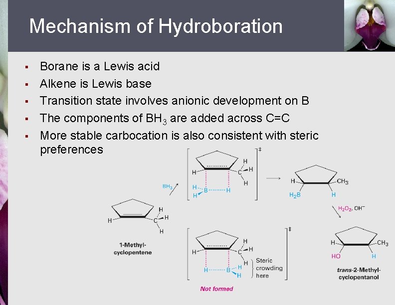 Mechanism of Hydroboration § § § Borane is a Lewis acid Alkene is Lewis