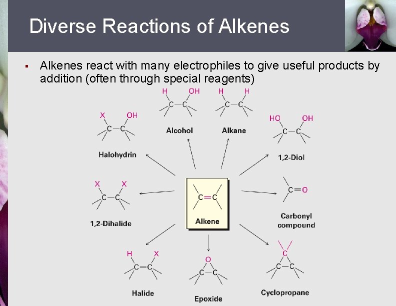 Diverse Reactions of Alkenes § Alkenes react with many electrophiles to give useful products