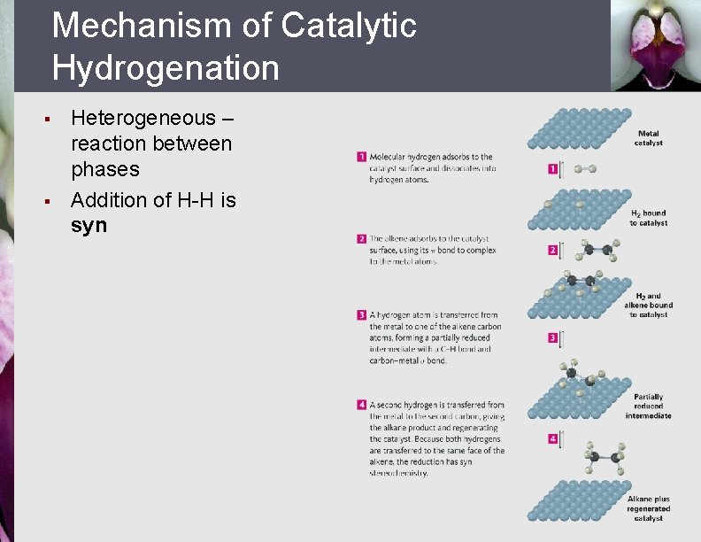Mechanism of Catalytic Hydrogenation § § Heterogeneous – reaction between phases Addition of H-H
