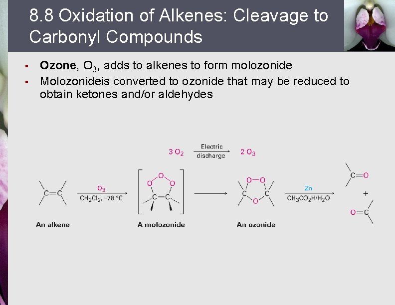 8. 8 Oxidation of Alkenes: Cleavage to Carbonyl Compounds § § Ozone, O 3,