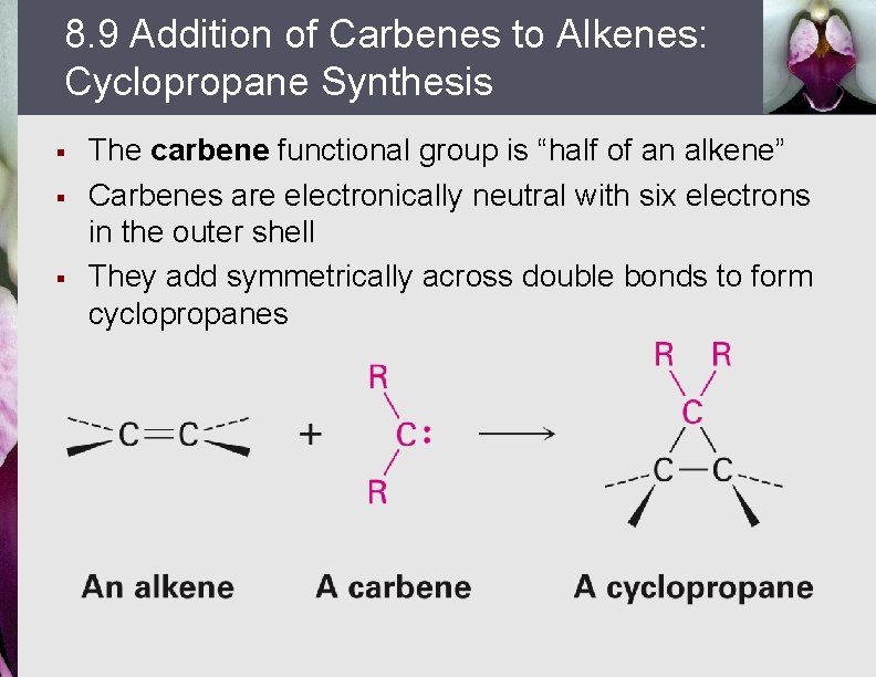 8. 9 Addition of Carbenes to Alkenes: Cyclopropane Synthesis § § § The carbene