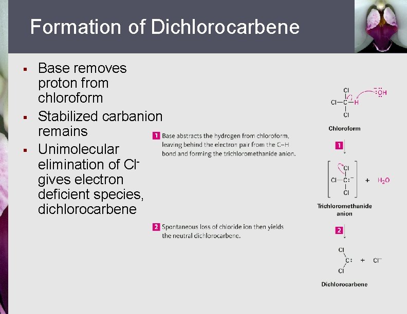 Formation of Dichlorocarbene § § § Base removes proton from chloroform Stabilized carbanion remains