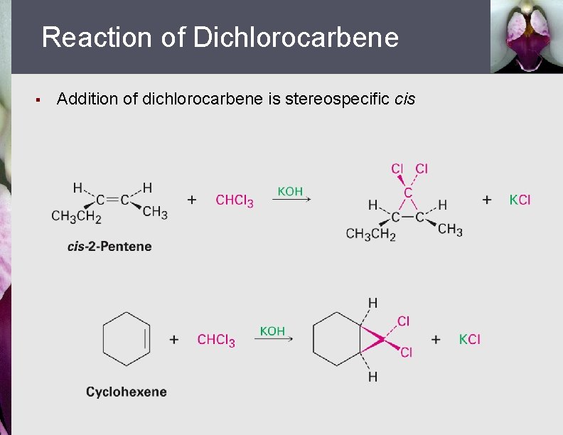 Reaction of Dichlorocarbene § Addition of dichlorocarbene is stereospecific cis 