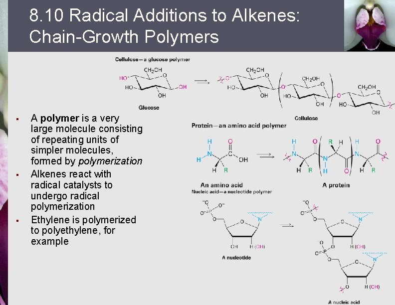 8. 10 Radical Additions to Alkenes: Chain-Growth Polymers § § § A polymer is