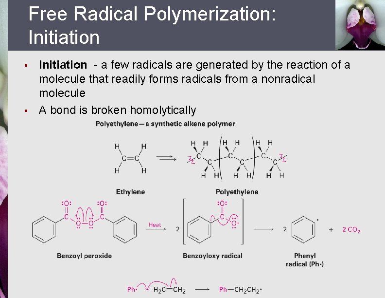 Free Radical Polymerization: Initiation § § Initiation - a few radicals are generated by