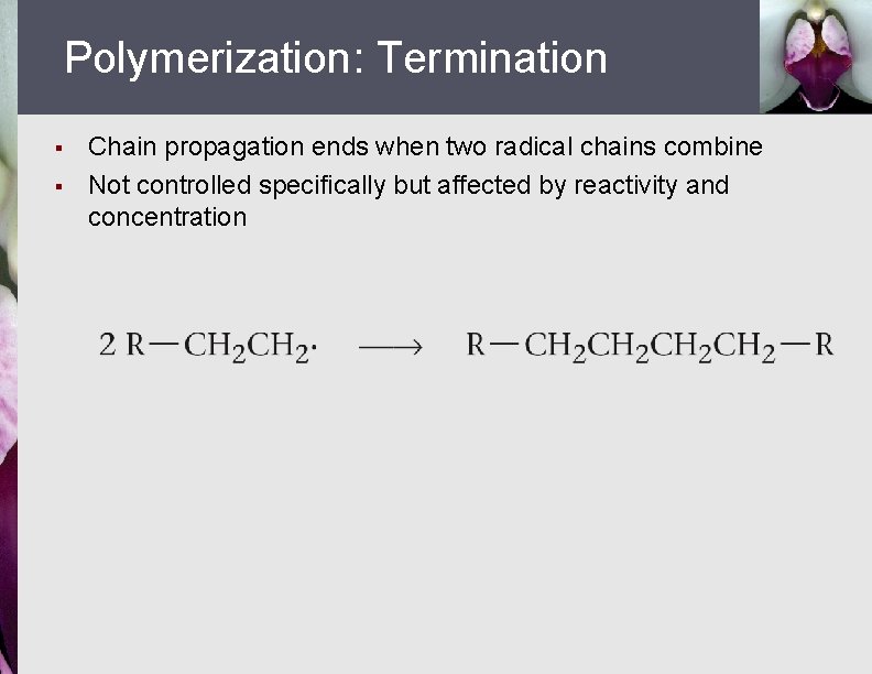 Polymerization: Termination § § Chain propagation ends when two radical chains combine Not controlled