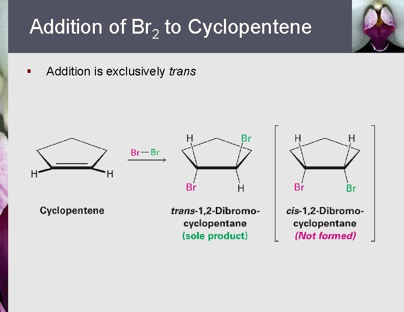 Addition of Br 2 to Cyclopentene § Addition is exclusively trans 