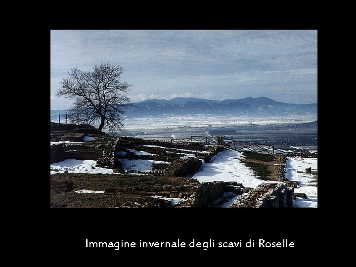 Maria Giulia Poggi Immagine invernale degli scavi di Roselle Etruschi. Storia e civiltà 30