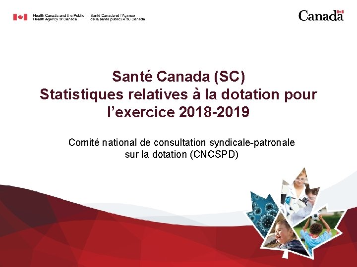 Santé Canada (SC) Statistiques relatives à la dotation pour l’exercice 2018 -2019 Comité national