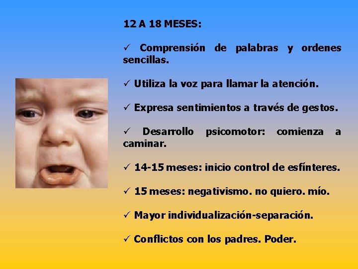 12 A 18 MESES: ü Comprensión de palabras y ordenes sencillas. ü Utiliza la