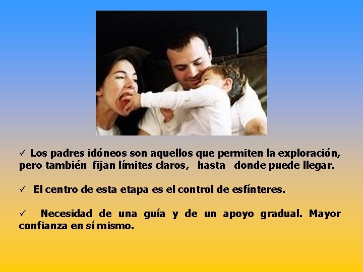 ü Los padres idóneos son aquellos que permiten la exploración, pero también fijan límites