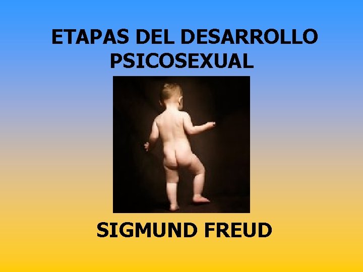 ETAPAS DEL DESARROLLO PSICOSEXUAL SIGMUND FREUD 