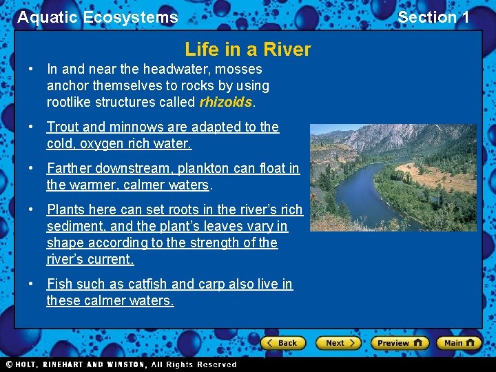 Aquatic Ecosystems Section 1 Life in a River • In and near the headwater,