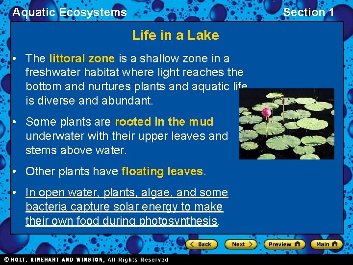 Aquatic Ecosystems Section 1 Life in a Lake • The littoral zone is a