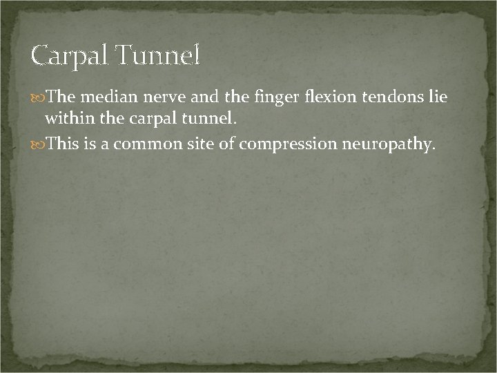 Carpal Tunnel The median nerve and the finger flexion tendons lie within the carpal