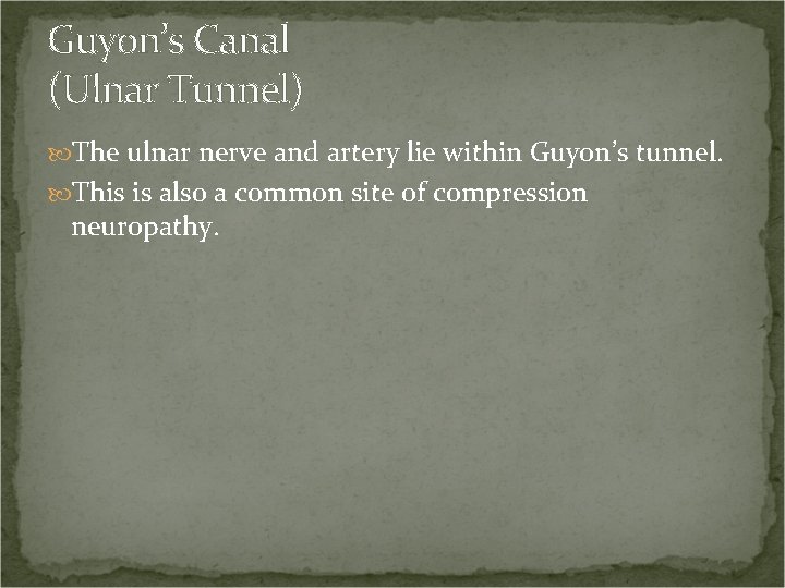 Guyon’s Canal (Ulnar Tunnel) The ulnar nerve and artery lie within Guyon’s tunnel. This