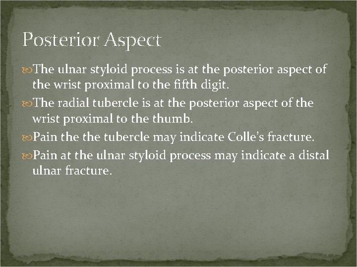 Posterior Aspect The ulnar styloid process is at the posterior aspect of the wrist