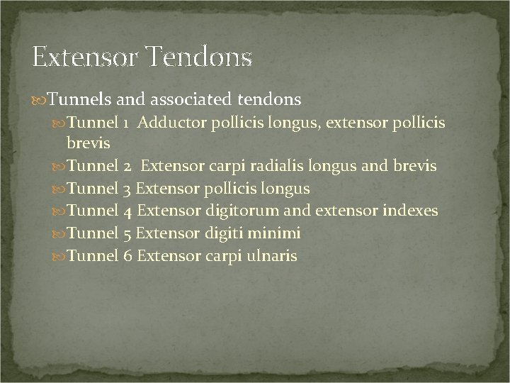 Extensor Tendons Tunnels and associated tendons Tunnel 1 Adductor pollicis longus, extensor pollicis brevis