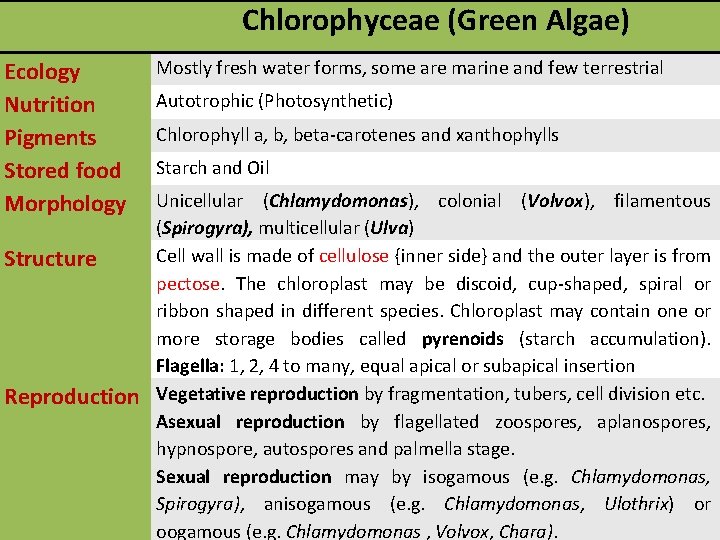 Chlorophyceae (Green Algae) Ecology Nutrition Pigments Stored food Morphology Structure Reproduction Mostly fresh water