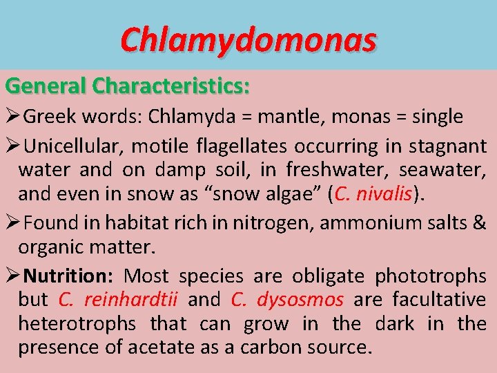 Chlamydomonas General Characteristics: ØGreek words: Chlamyda = mantle, monas = single ØUnicellular, motile flagellates