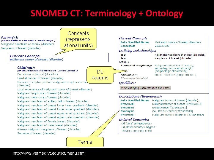 SNOMED CT: Terminology + Ontology Concepts (representational units) DL Axioms Terms http: //viw 2.