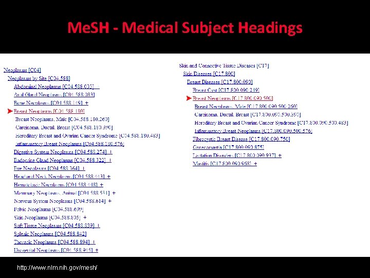 Me. SH - Medical Subject Headings http: //www. nlm. nih. gov/mesh/ 