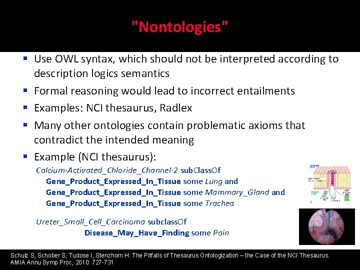 "Nontologies" § Use OWL syntax, which should not be interpreted according to description logics