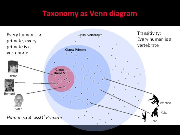 Taxonomy as Venn diagram Every human is a primate, every primate is a vertebrate