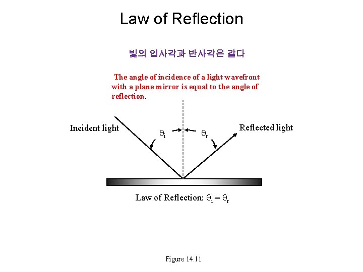 Law of Reflection 빛의 입사각과 반사각은 같다 The angle of incidence of a light