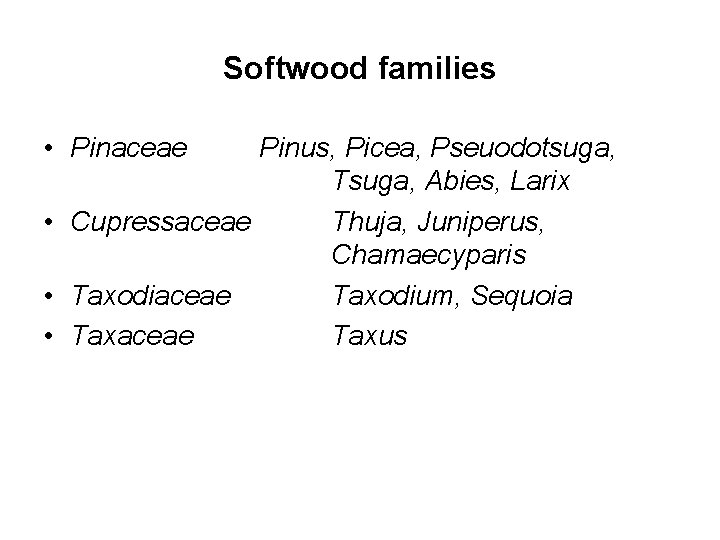 Softwood families • Pinaceae Pinus, Picea, Pseuodotsuga, Tsuga, Abies, Larix • Cupressaceae Thuja, Juniperus,