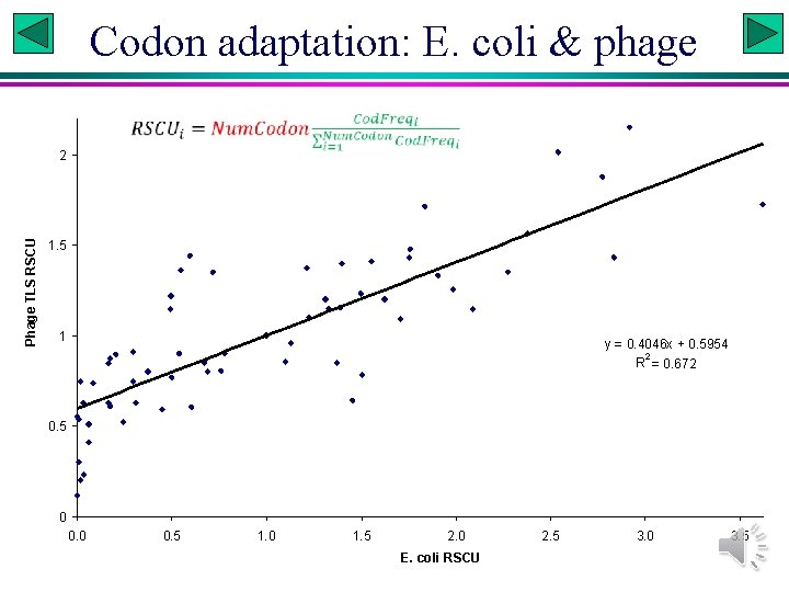Codon adaptation: E. coli & phage Phage TLS RSCU 2 1. 5 1 y