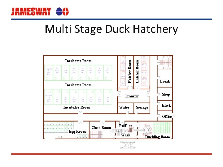 Multi Stage Duck Hatchery Hatcher Room Incubator Room Break Transfer Shop Incubator Room Water