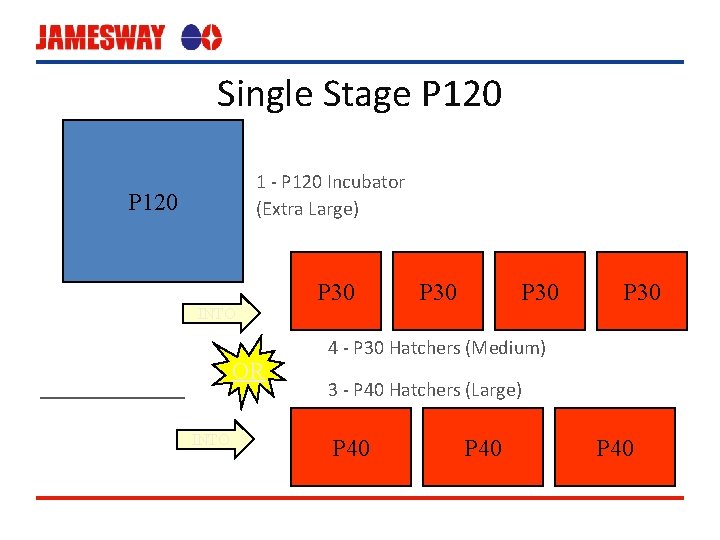 Single Stage P 120 1 - P 120 Incubator (Extra Large) P 120 INTO