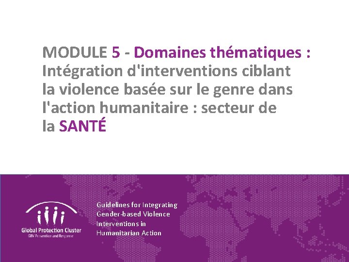 MODULE 5 - Domaines thématiques : Intégration d'interventions ciblant la violence basée sur le