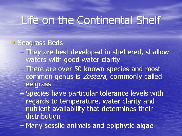 Life on the Continental Shelf • Seagrass Beds – They are best developed in