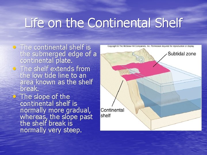 Life on the Continental Shelf • The continental shelf is • • the submerged