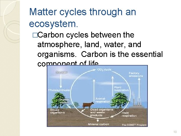 Matter cycles through an ecosystem. �Carbon cycles between the atmosphere, land, water, and organisms.
