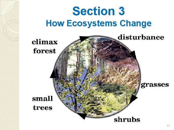 Section 3 How Ecosystems Change 17 