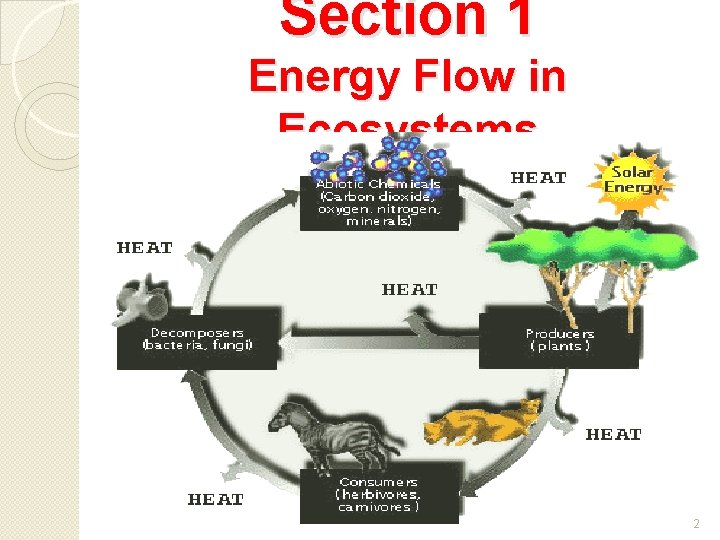 Section 1 Energy Flow in Ecosystems 2 