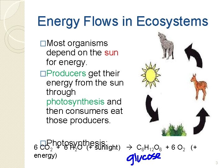 Energy Flows in Ecosystems �Most organisms depend on the sun for energy. �Producers get