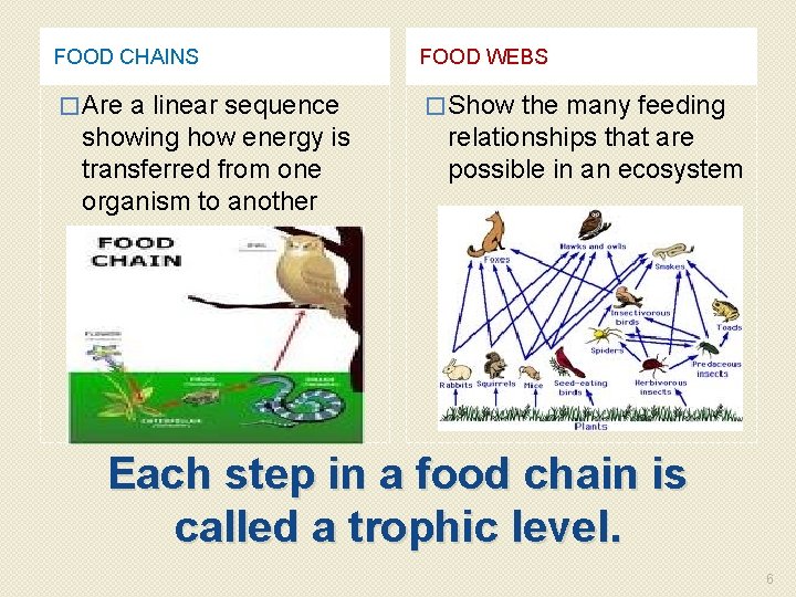 FOOD CHAINS FOOD WEBS � Are � Show a linear sequence showing how energy